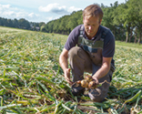 photography skillful harvesting