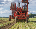 photography skillful harvesting