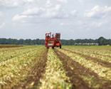 photography skillful harvesting