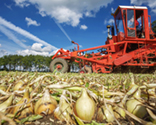 photography skillful harvesting