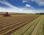 photography skillful harvesting