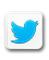 Holland Onions Twitter